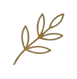 Settle Icon